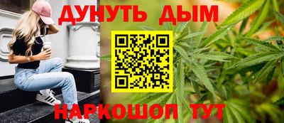 шишки Камышлов