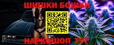 шишки Камышлов