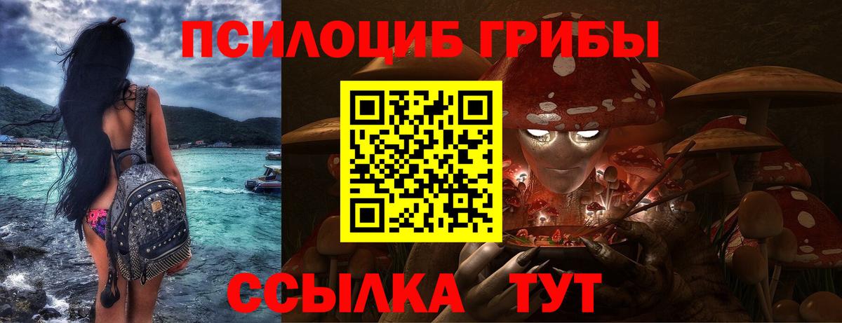 Псилоцибиновые грибы мицелий Куйбышев