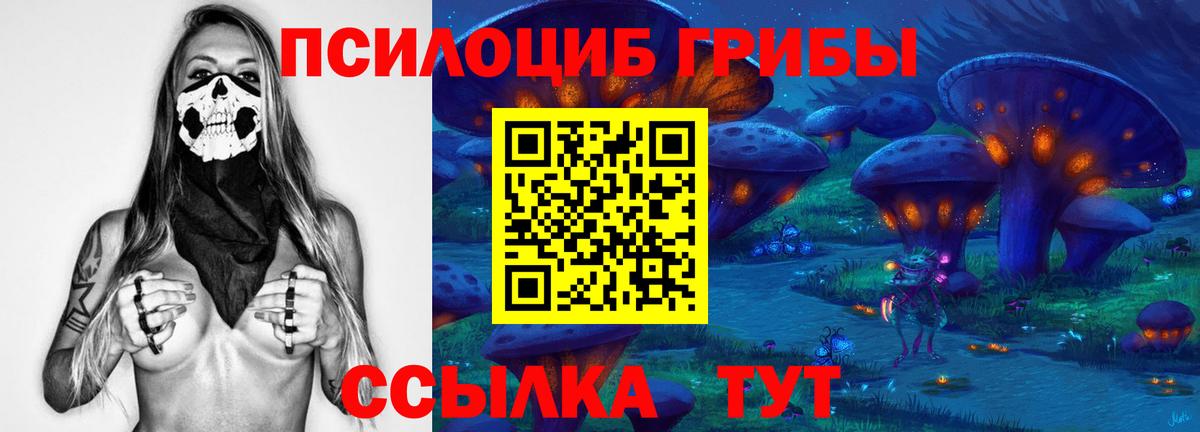 Куйбышев  Галлюциногенные грибы MAGIC MUSHROOMS  где найти наркотики  Вход с VPN  Галлюциногенные грибы MAGIC MUSHROOMS 